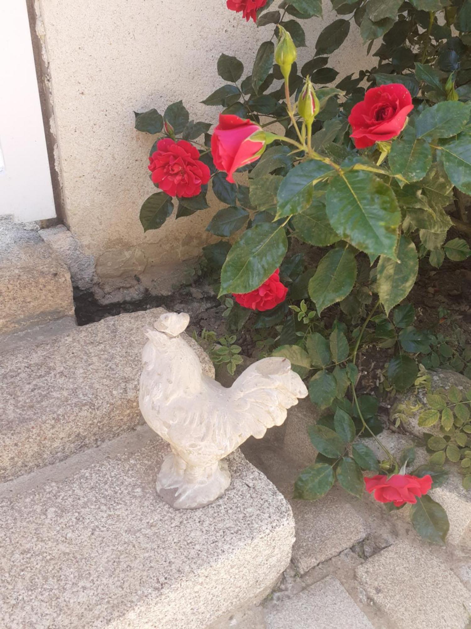 7 , Le Haut Montraye Pace  Bagian luar foto