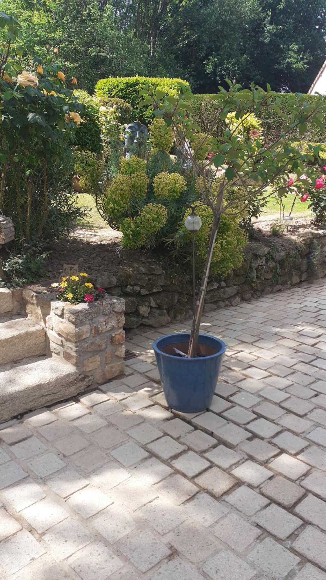 7 , Le Haut Montraye Pace  Bagian luar foto