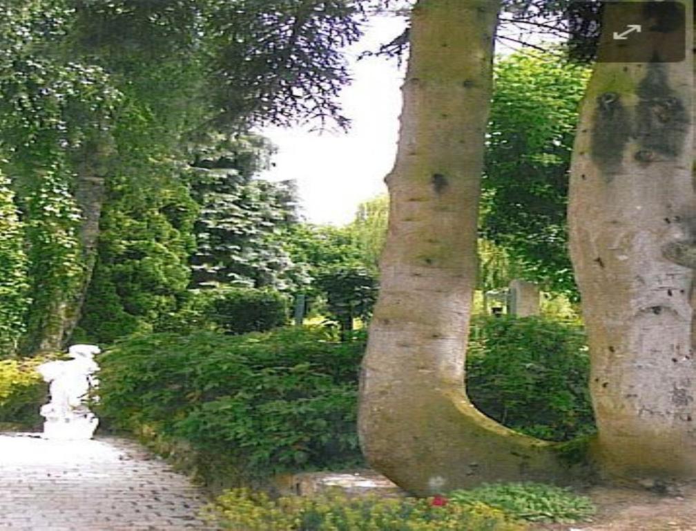 7 , Le Haut Montraye Pace  Bagian luar foto