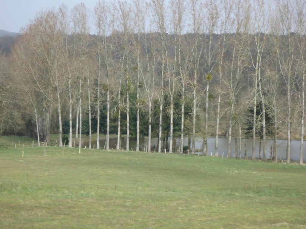 7 , Le Haut Montraye Pace  Bagian luar foto